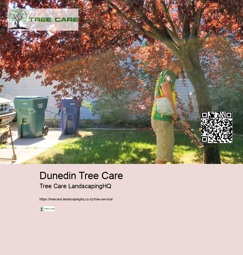 Dunedin Tree Care