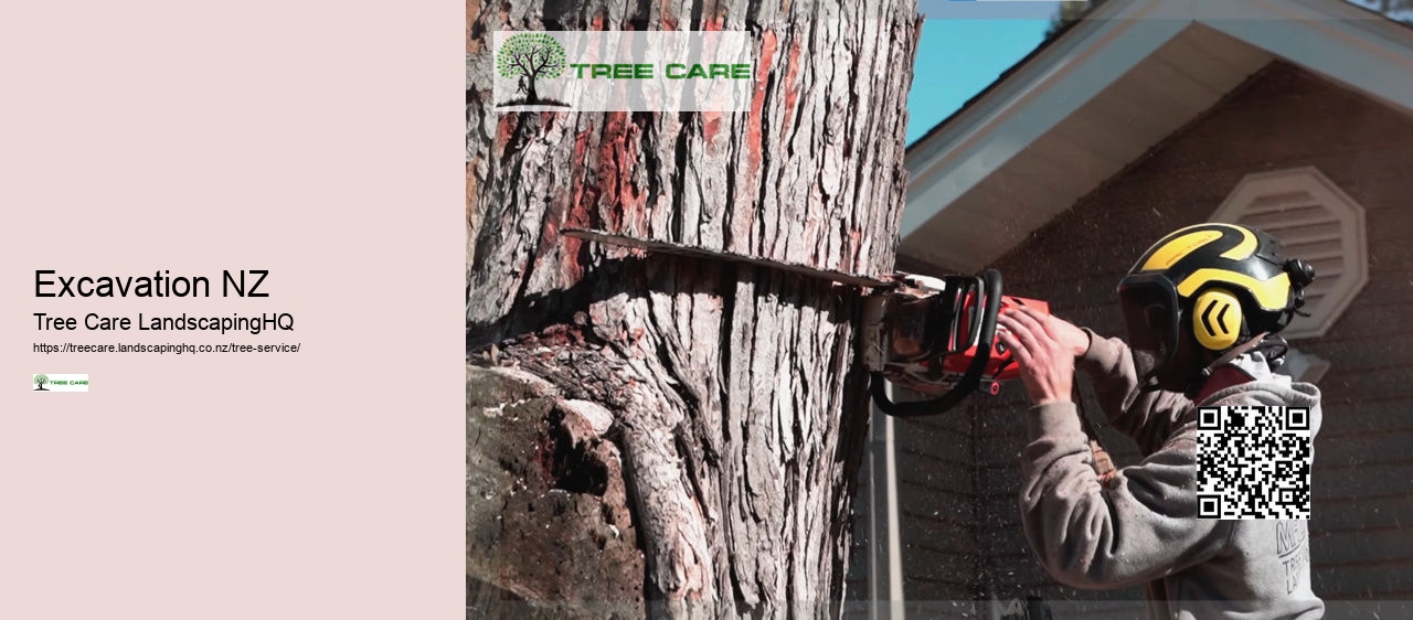 Tree Doctor Wellington