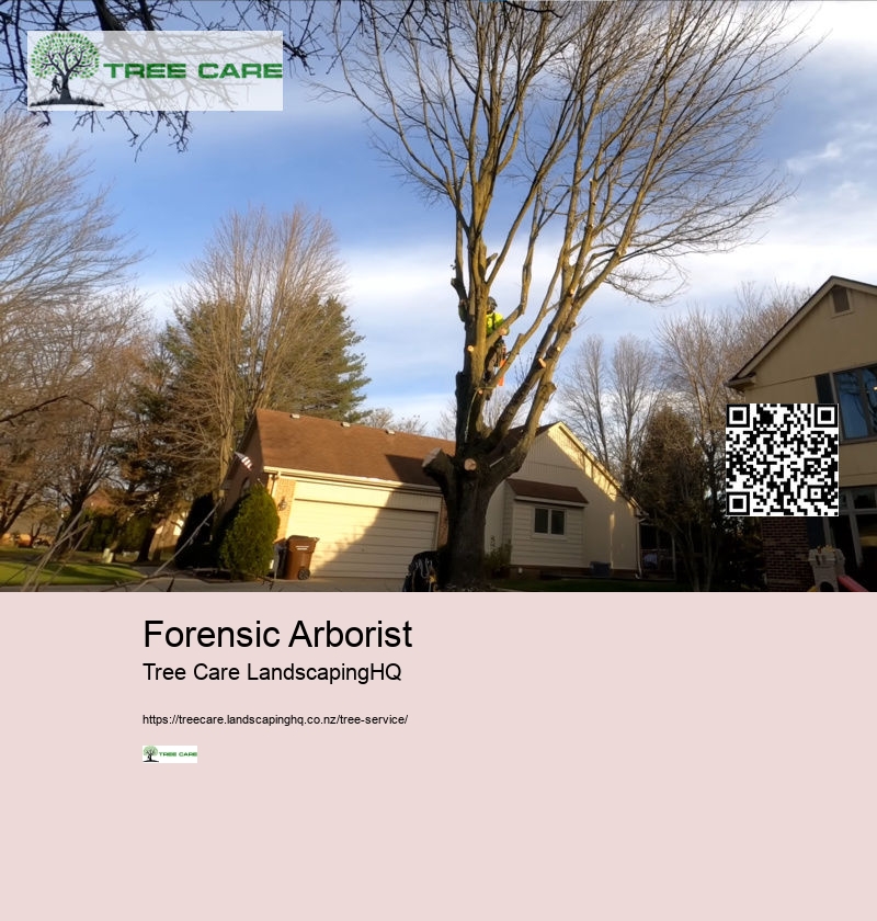 Arborist Wellington NZ