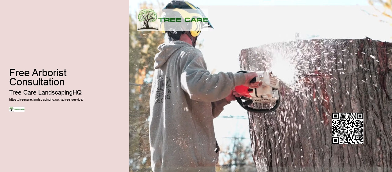 Arborist Chch NZ
