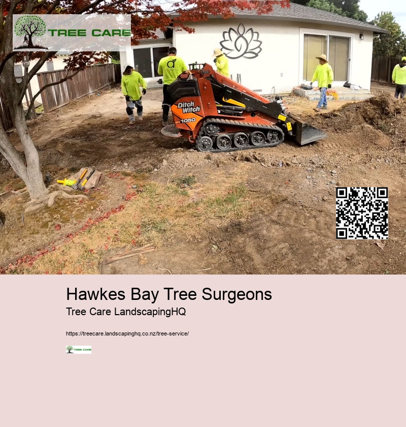 Hawkes Bay Tree Surgeons