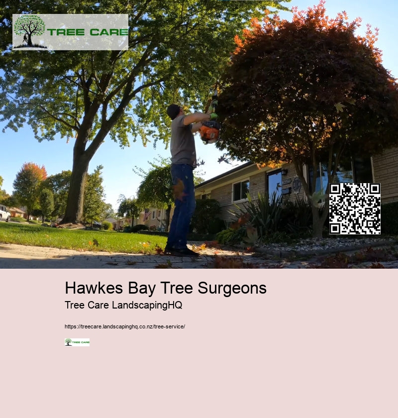 Arborist East Auckland
