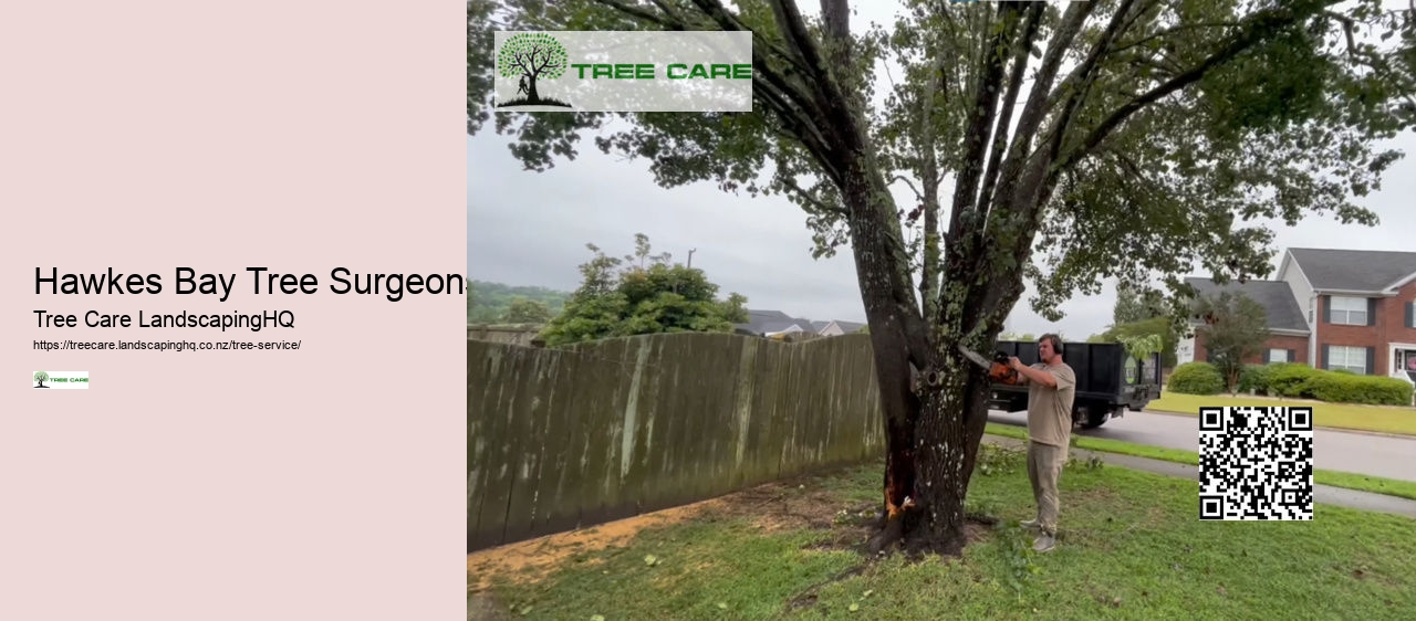 Tree Surgeon Dunedin