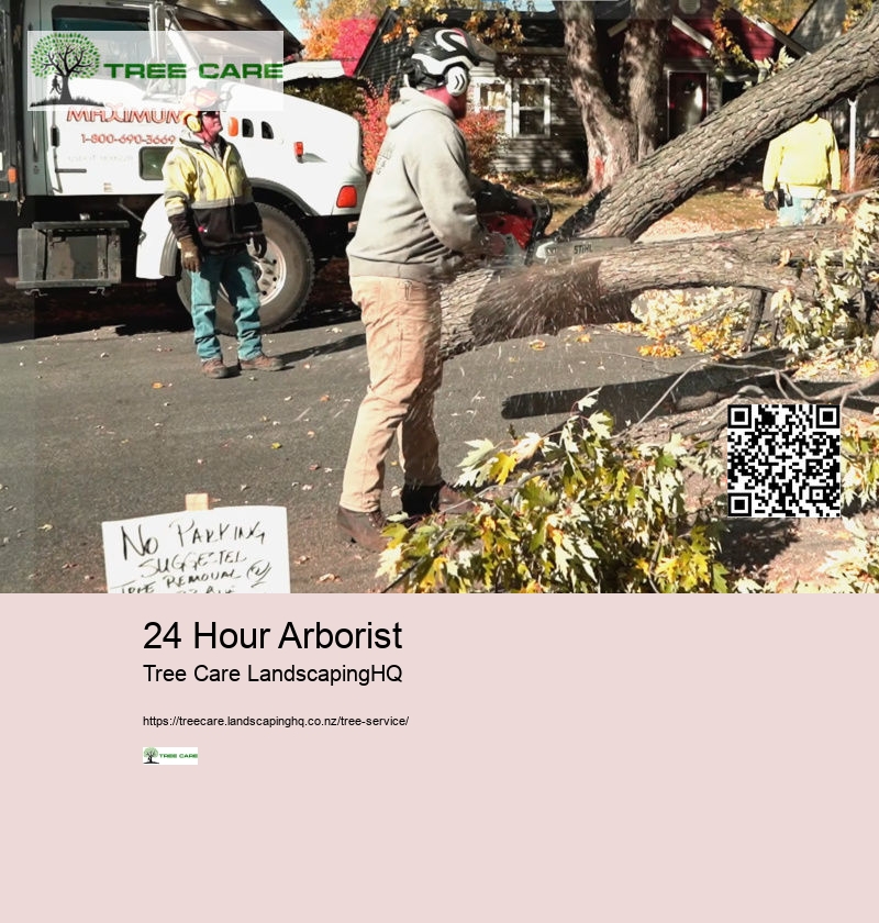 Tree Services West Auckland