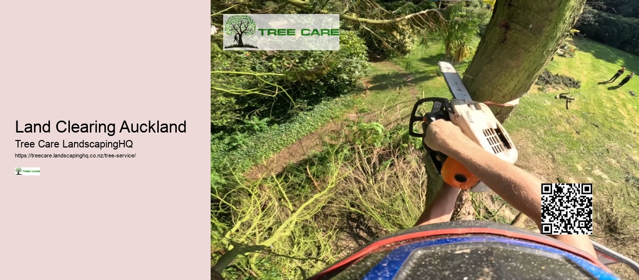 Stump Grinding Pukekohe