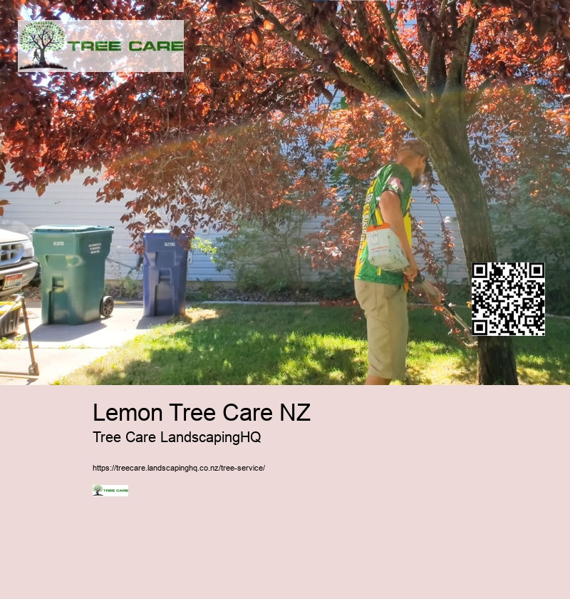 Excavation NZ