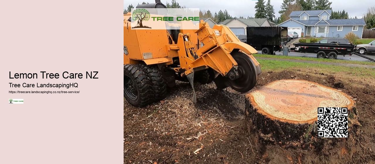 Plum Tree Care NZ