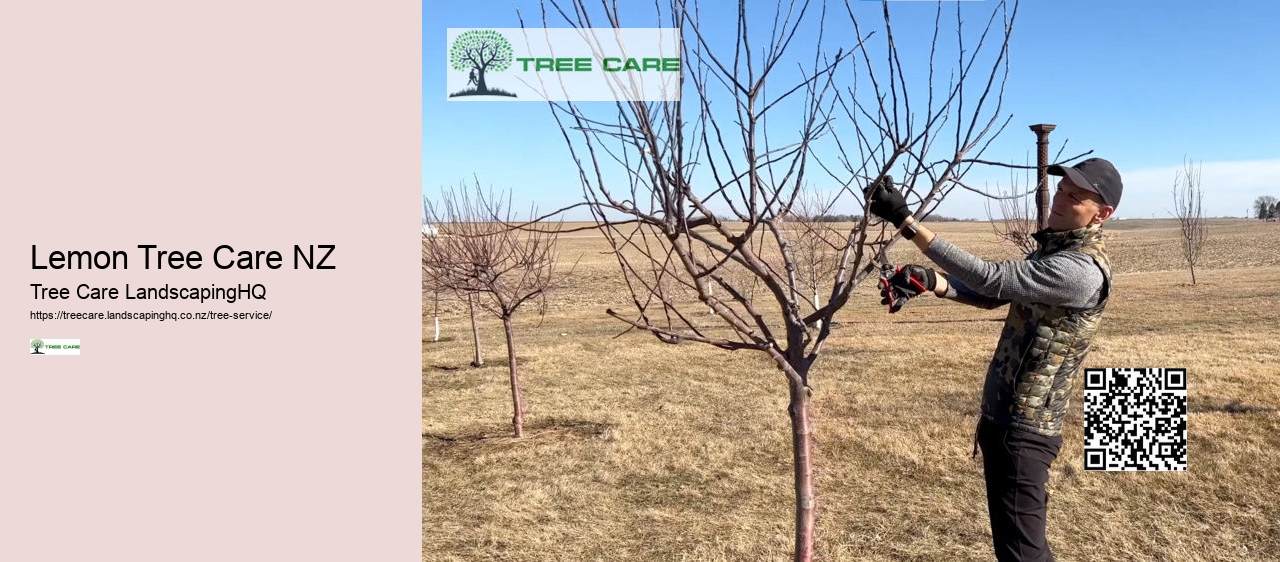 Tree Removal North Shore Auckland