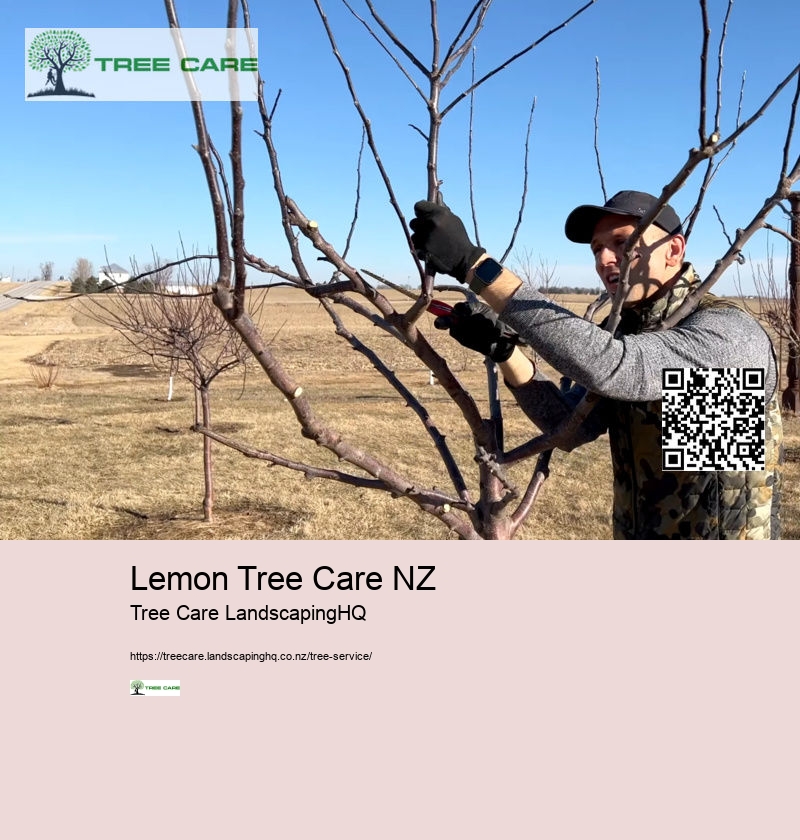 Lemon Tree Care NZ