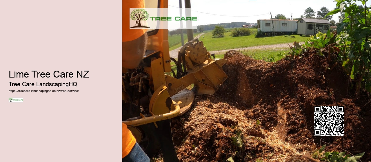 Arborist New Zealand