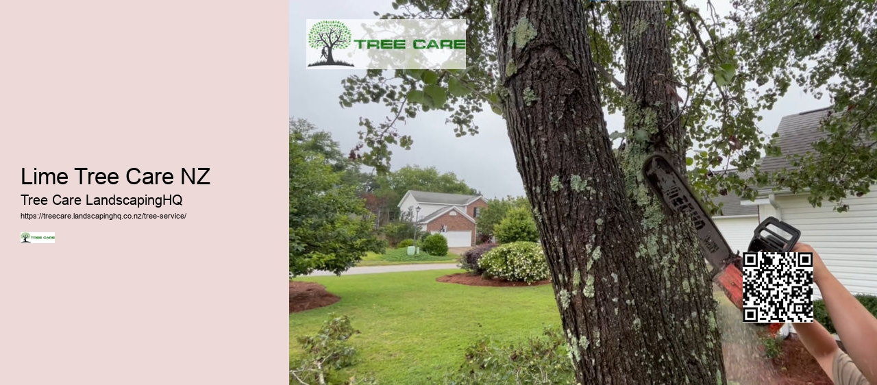 Tree Services NZ