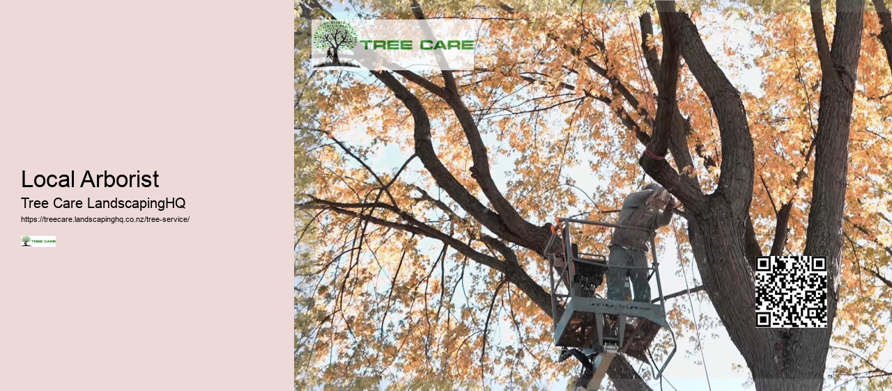 Tree Services North Shore Auckland