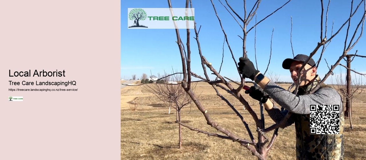Tree Trimming Lower Hutt