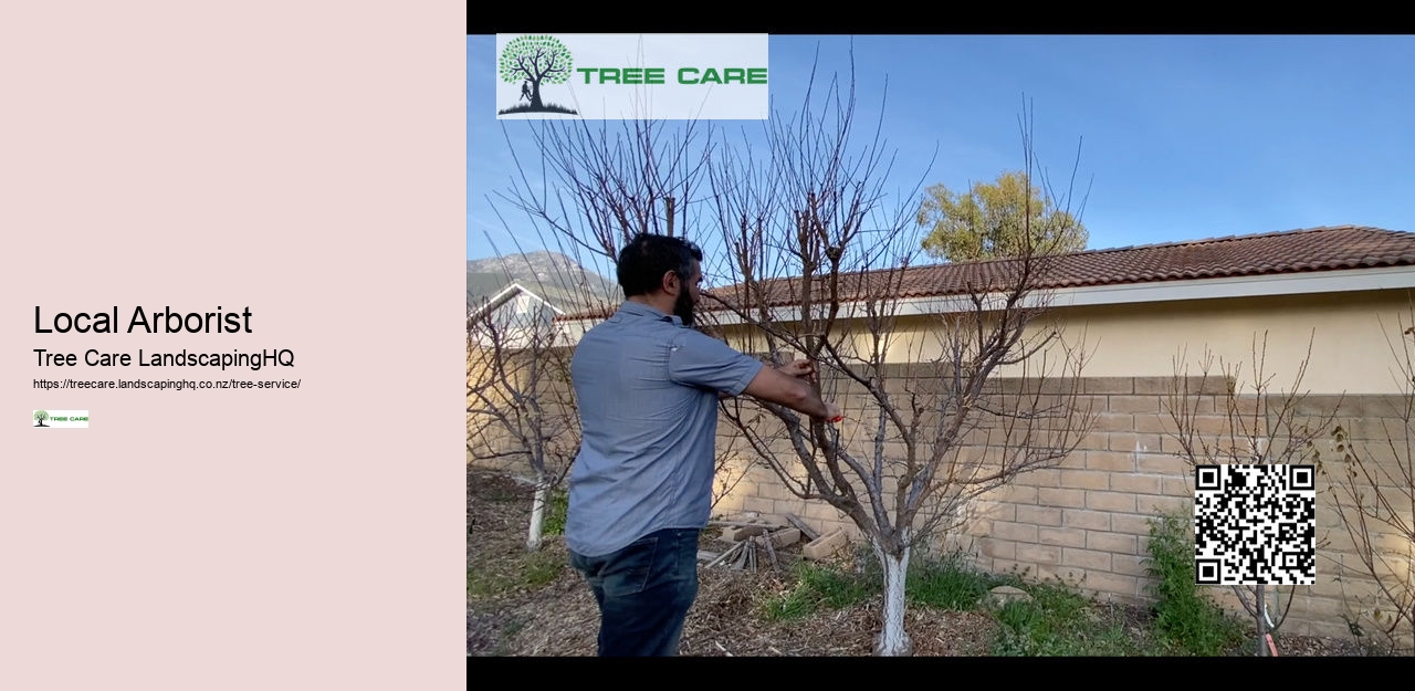 Arborist NZ