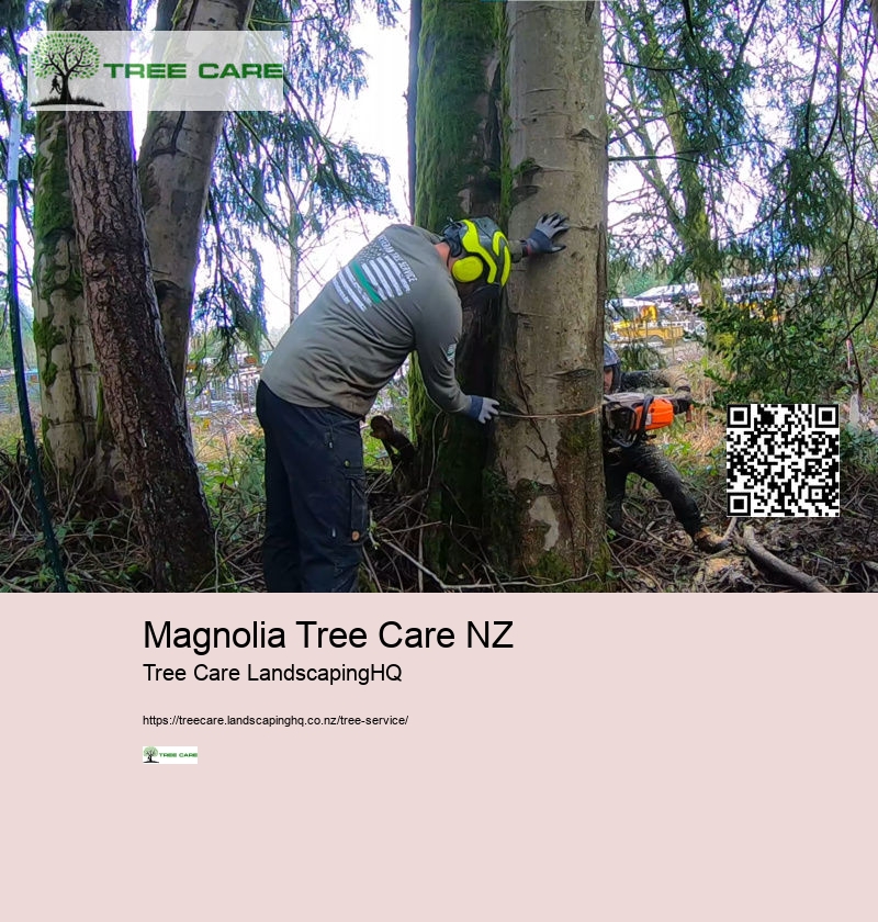 Magnolia Tree Care NZ