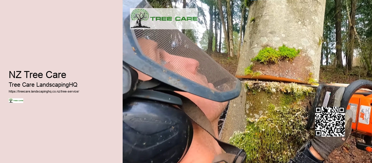 Tree Services Dunedin