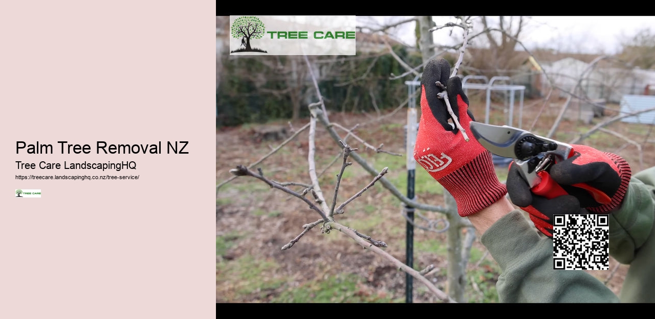 Arborist Kerikeri