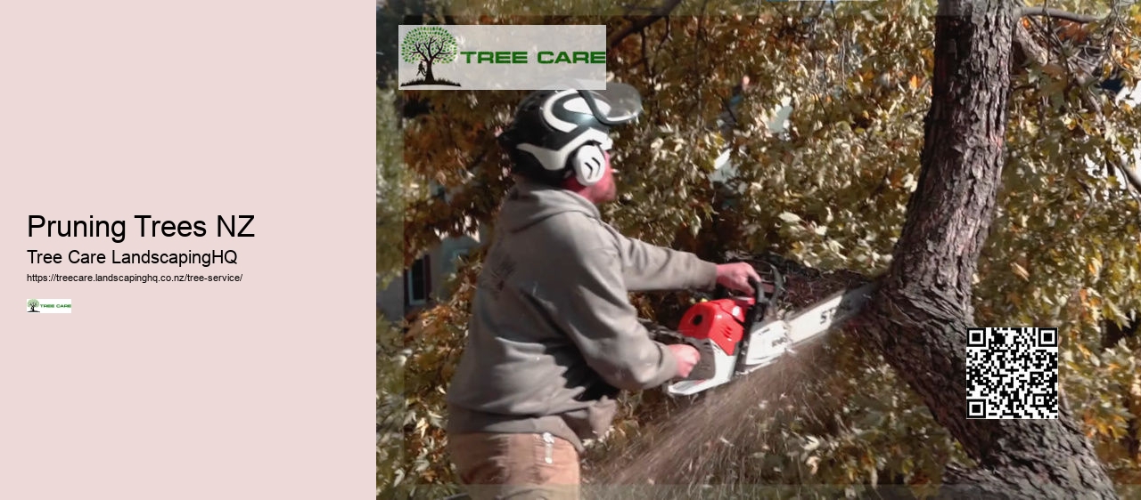 Stump Grinders NZ