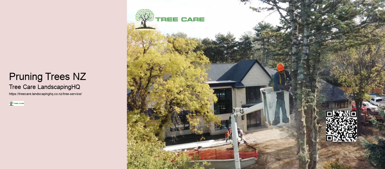 Arborist Hourly Rate NZ