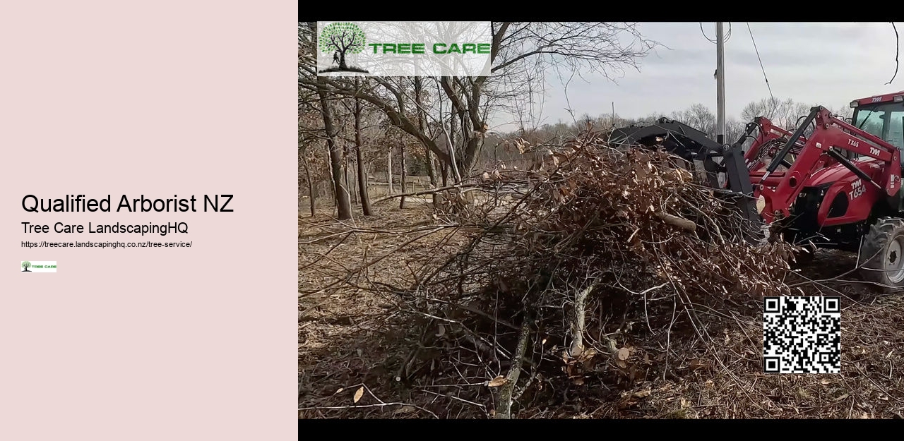 Arborist Tree Surgeon Near Me