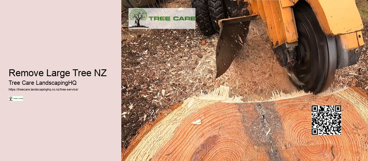 Stump Grinding NZ