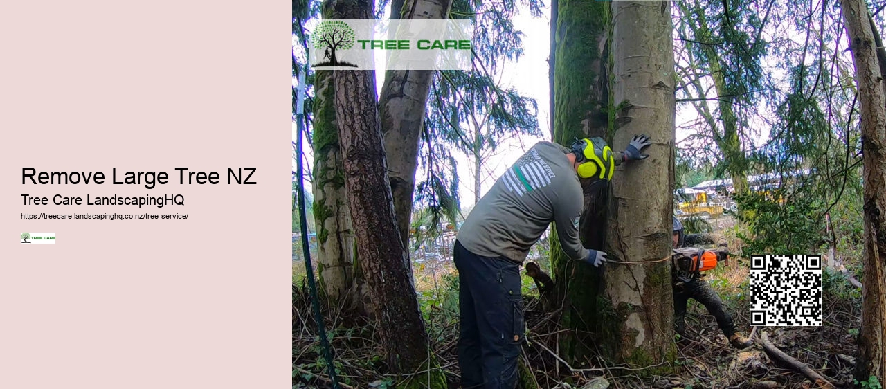 Arborists Nelson NZ