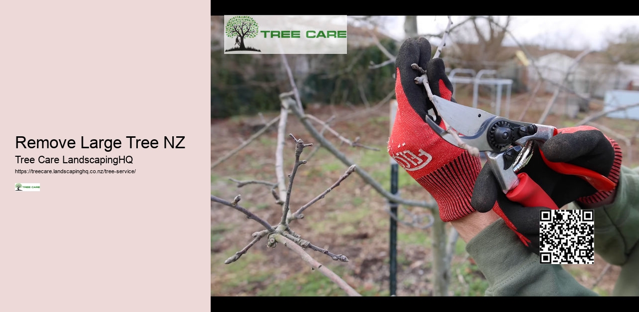Tree Services West Auckland