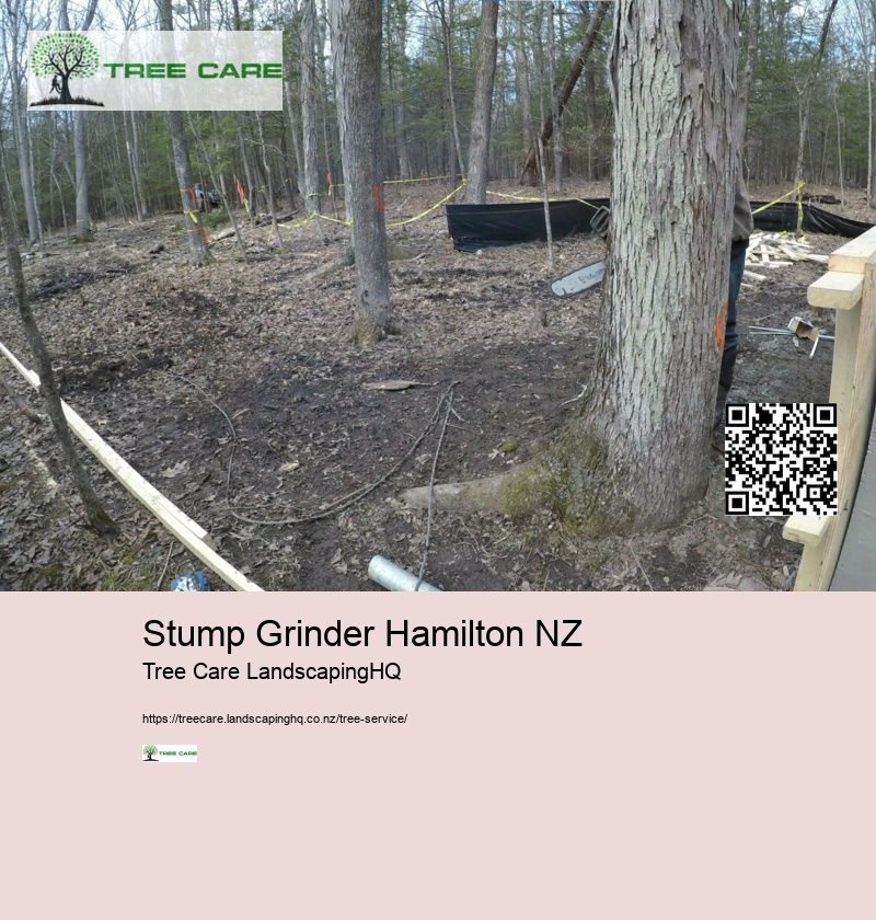 Stump Grinder Hamilton NZ