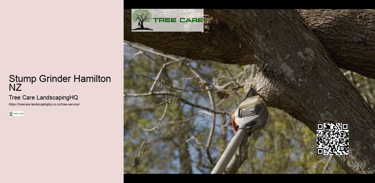Arborist Queenstown