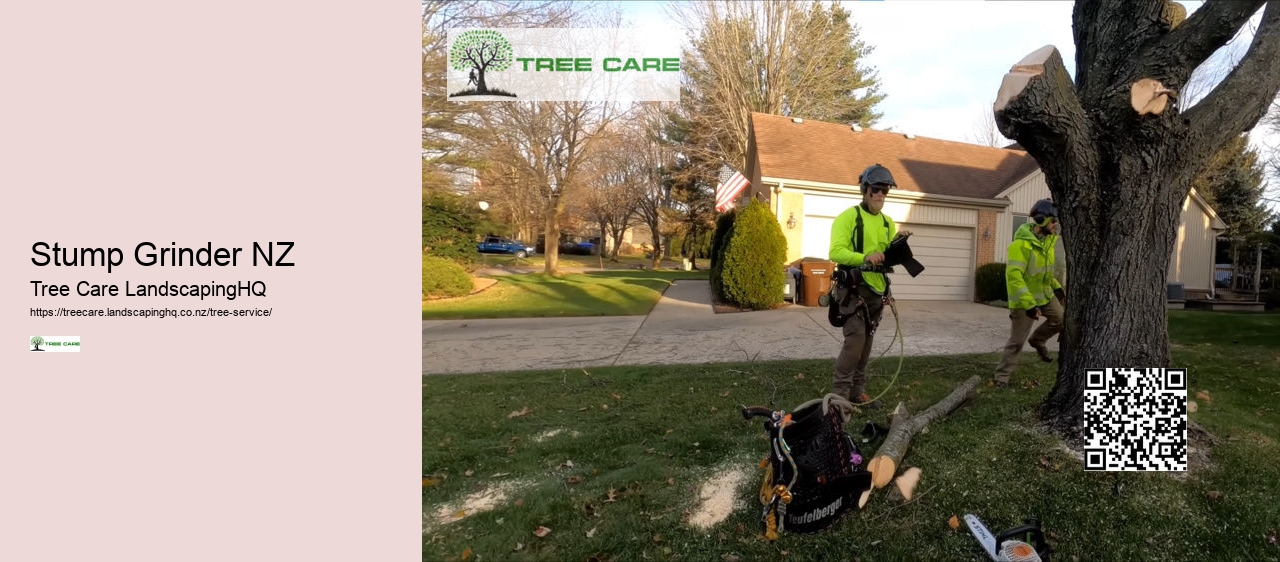 Arborist Hamilton New Zealand