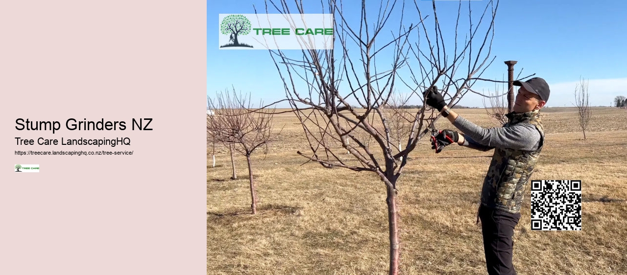 Arborists Nelson