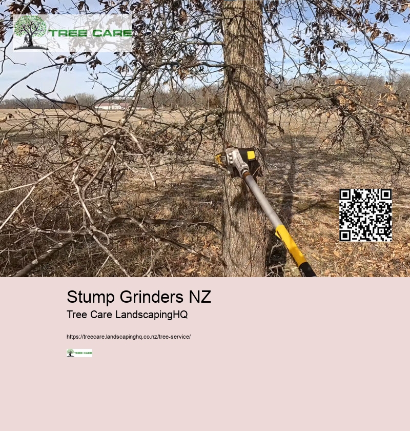 Stump Grinders NZ