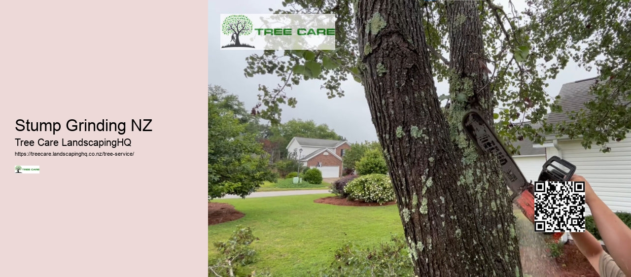 Arborist Lower Hutt