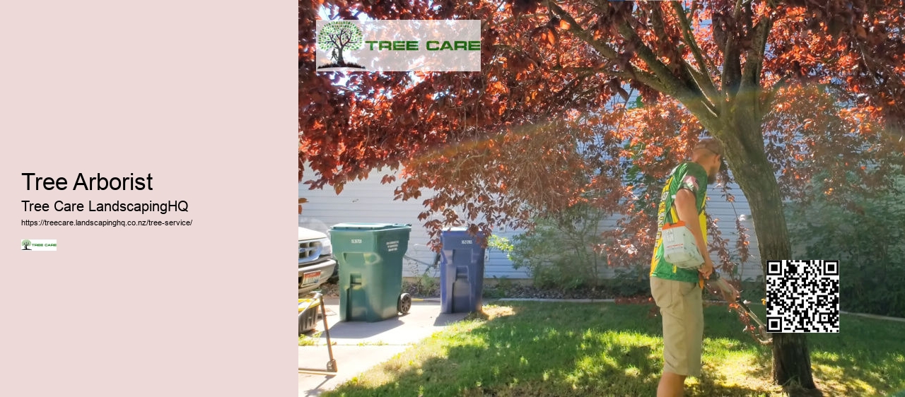Tree Removal Auckland