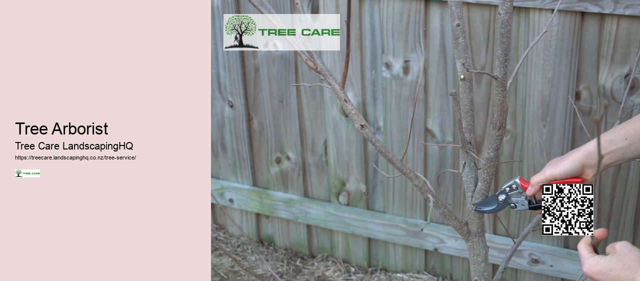 Tree Arborist Tauranga