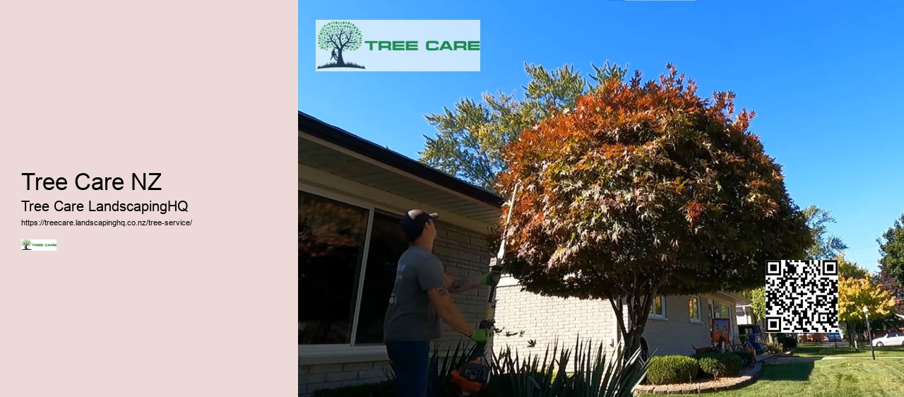 Arborist Hastings NZ