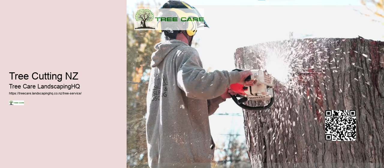 Tree Stump Removal Hamilton NZ