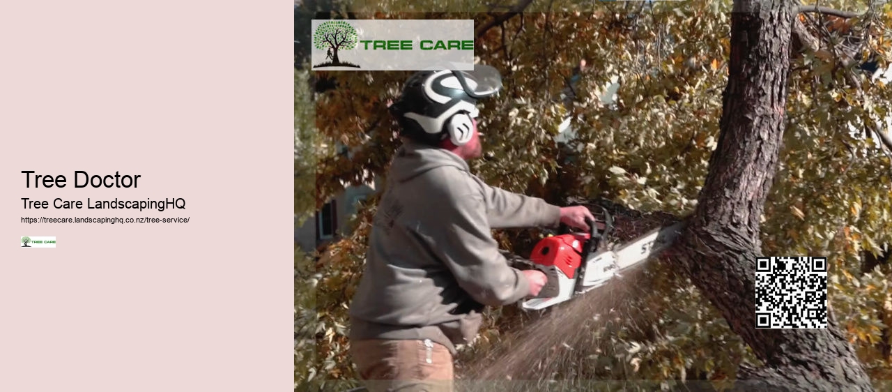 Dunedin Tree Care