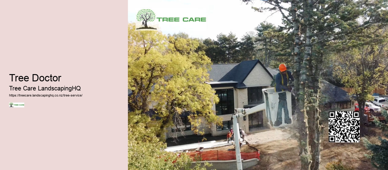 Arborist South Island New Zealand