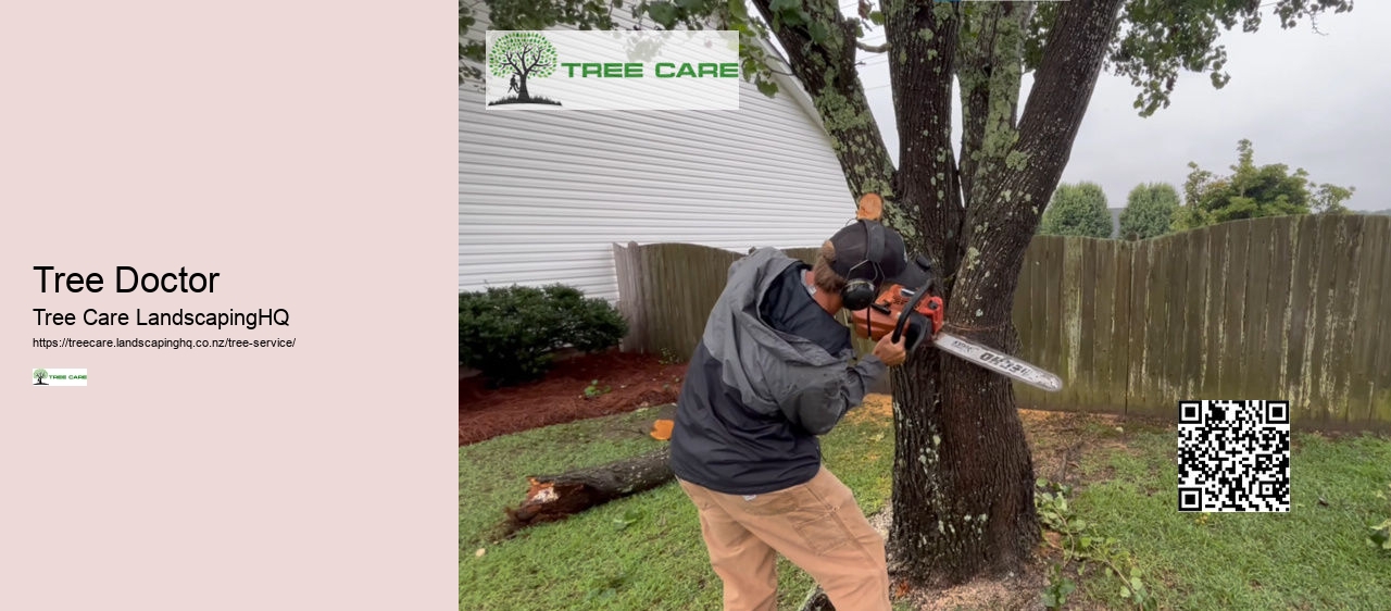 Stump Grinding Tauranga