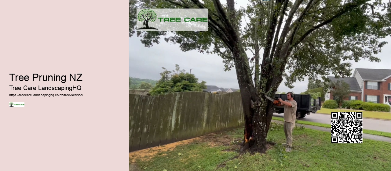 Arborist Katikati