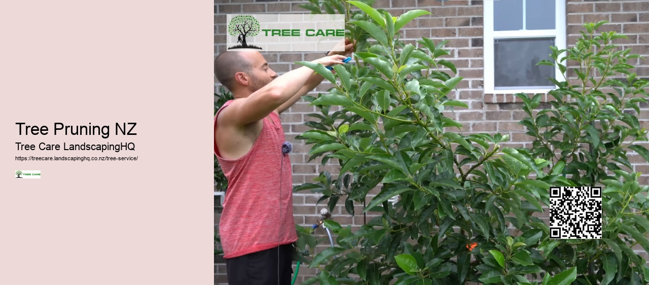 Arborist Costs NZ