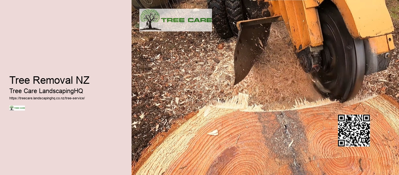 Tree Doctor Wellington