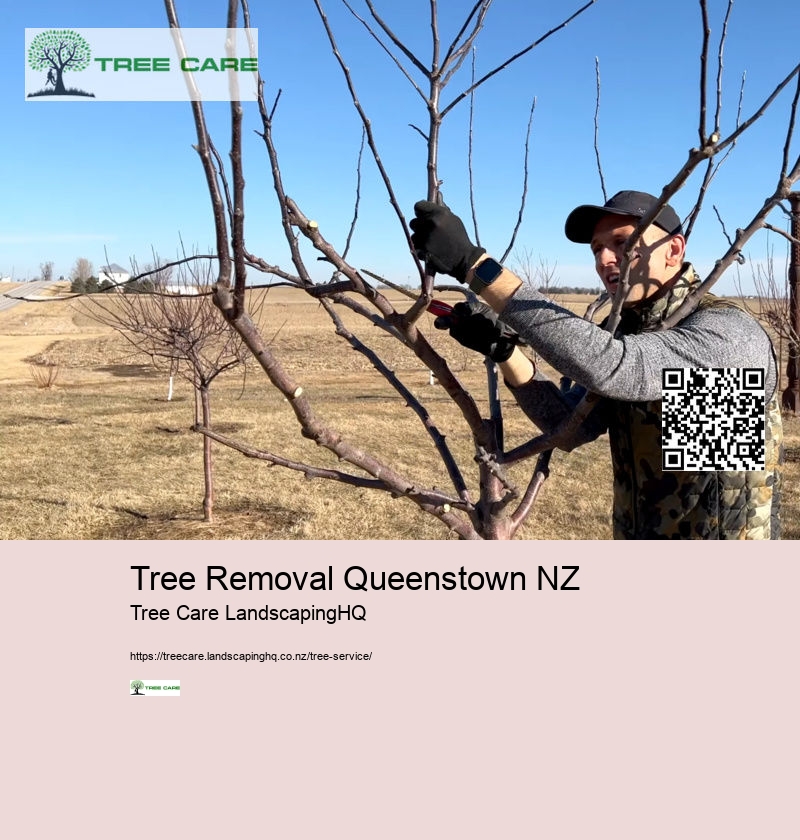 Tree Removal Queenstown NZ