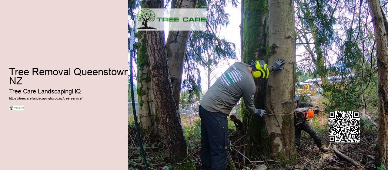 Tree Removal South Auckland