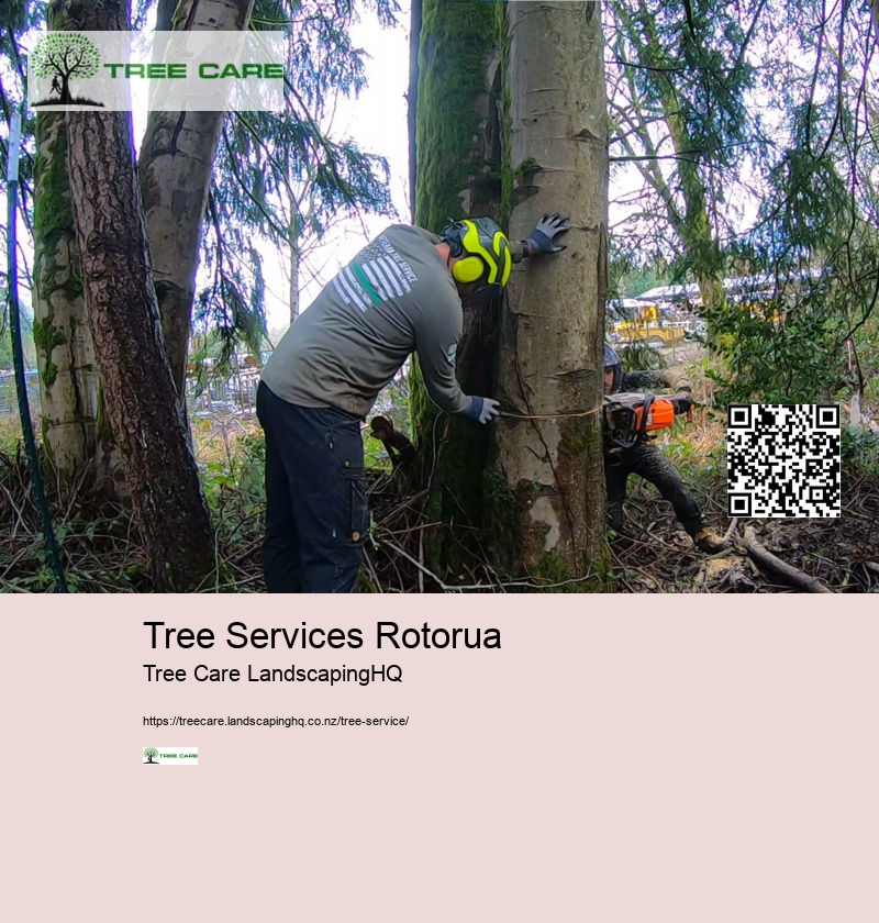 Tree Services Rotorua