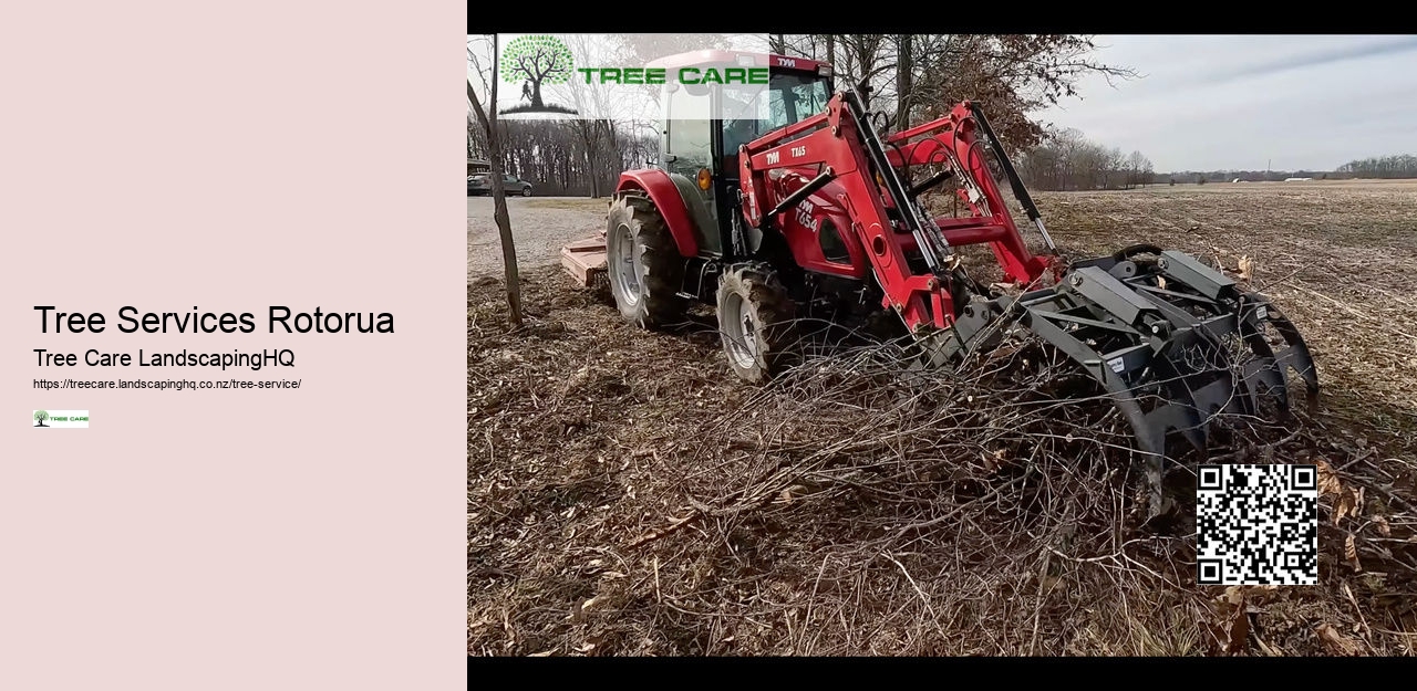 Stump Grinding Pukekohe