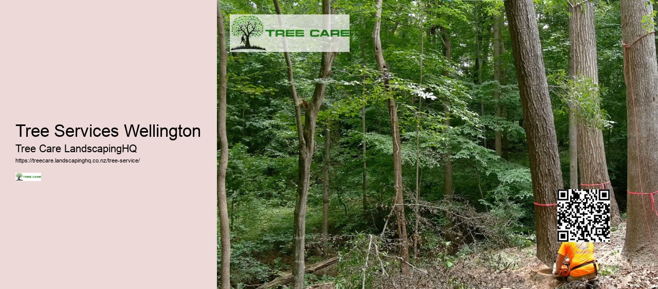 Tree Removal East Auckland