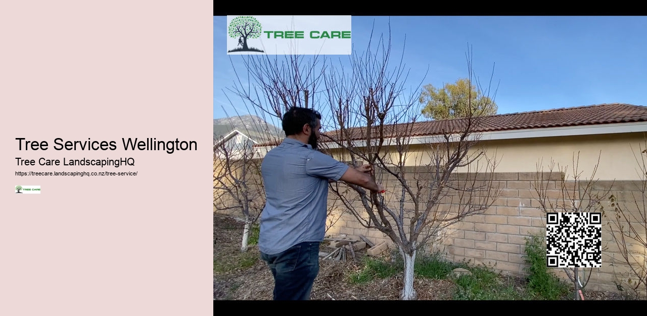 NZ Tree Care Queenstown