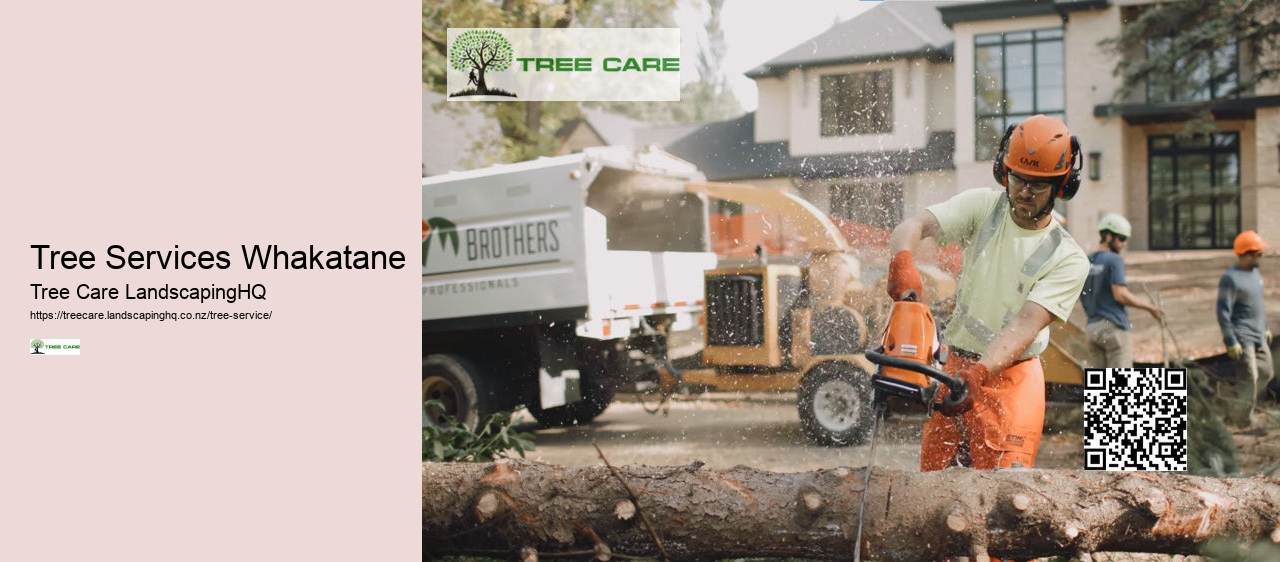Tree Trimming Tauranga